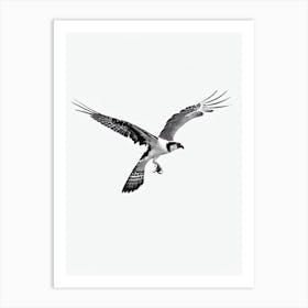 Osprey B&W Pencil Drawing 3 Bird Art Print