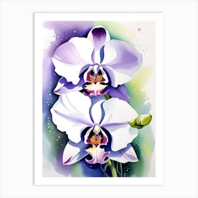 Orchids 4 Art Print