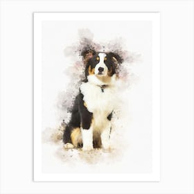 Australian Shepherd Dog Art Print