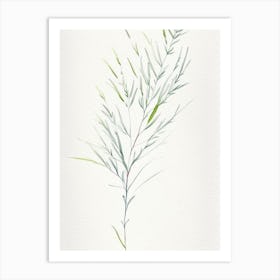 White Willow Herb Minimalist Watercolour 1 Art Print