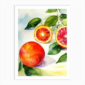 Blood Orange Italian Watercolour fruit Art Print