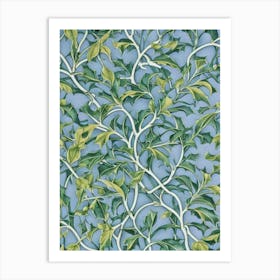 Holly tree Vintage Botanical Art Print