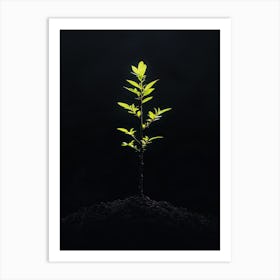 Tree In The Dark 26 Art Print