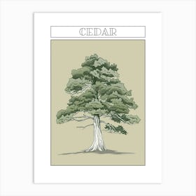 Cedar Tree Minimalistic Drawing 4 Poster Art Print