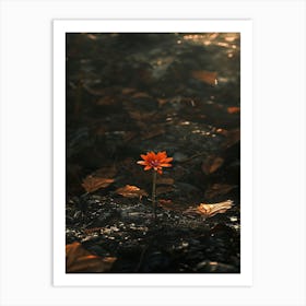 Flower In The Water 9 Art Print