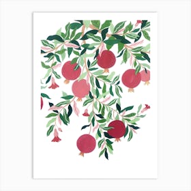 Mediterranean Plant Pomegranate Tree Botanical Painting Art Print