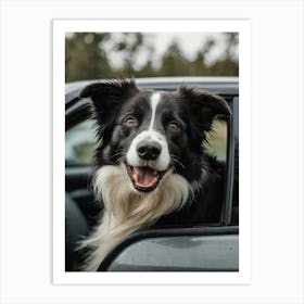 Border Collie In Car 2 Art Print