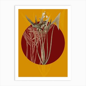 Vintage Botanical Arrowhead on Circle Red on Yellow Art Print