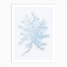 Stellar Dendrites, Snowflakes, Pencil Illustration 3 Art Print