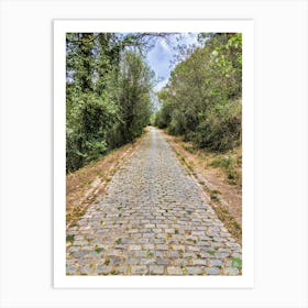 Cobblestone Road In The Forest 2023042312261pub Art Print