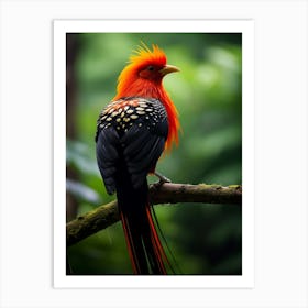 Emerald Eden: Andean Jungle Bird Decor Art Print