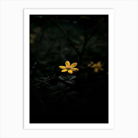 Yellow Flower In The Dark 1 Art Print