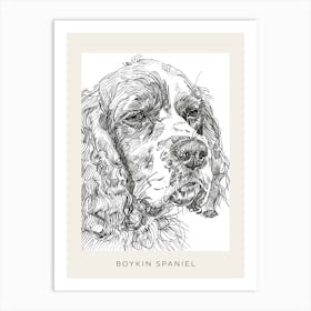Boykin Spaniel Dog Line Art 3 Poster Art Print
