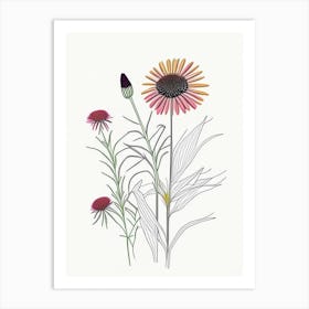 Echinacea Spices And Herbs Minimal Line Drawing 1 Art Print