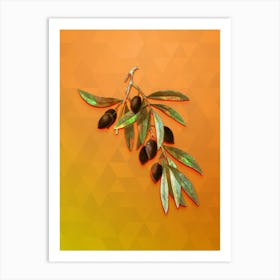 Vintage Olive Tree Branch Botanical Art on Tangelo Art Print