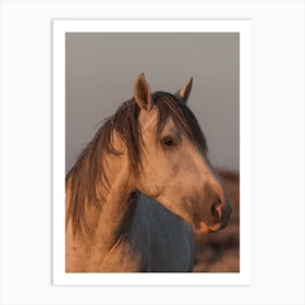 Sunset Horse Art Print