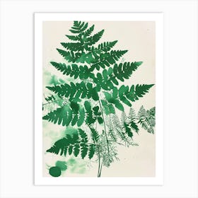Green Ink Painting Of A Netted Chain Fern 3 Art Print