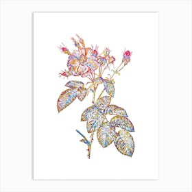 Stained Glass Harsh Downy Rose Mosaic Botanical Illustration on White n.0216 Art Print
