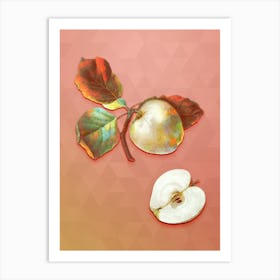 Vintage Astracan Apple Botanical Art on Peach Pink n.0452 Art Print