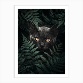 Black Cat In Ferns Art Print