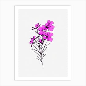 Phlox Floral Minimal Line Drawing 2 Flower Art Print