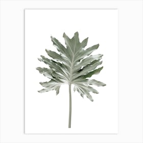 Green Minimal Leaf Art Print