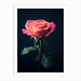 Pink Rose On Dark Background Art Print