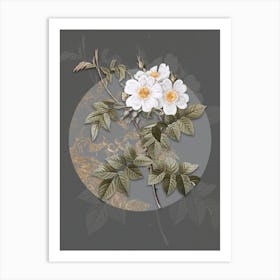 Vintage Botanical White Rosebush on Circle Gray on Gray n.0303 Art Print