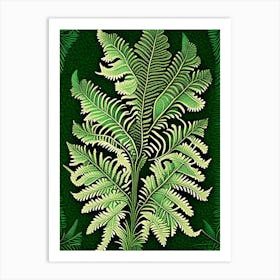 Lace Fern Vintage 2 Botanical Poster Art Print