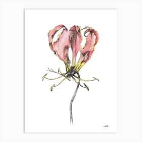 Watercolour Flame Lilly 1 Art Print