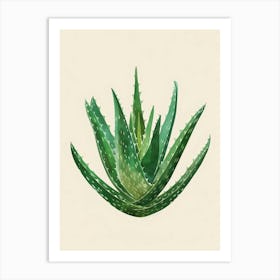 Aloe Vera Plant Minimalist Illustration 6 Art Print