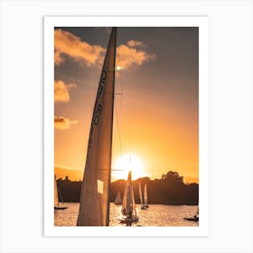 Sailboats At Sunset on Alster Lake, Hamnirh Art Print