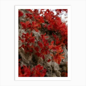 Red Autumn Leaves On Mountain Oil Painting Art Print