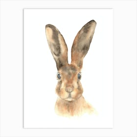 Hare Art Print