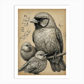 Bird And Chicks Art Print