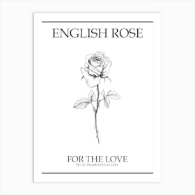 English Rose Black And White Line Drawing 15 Poster Art Print