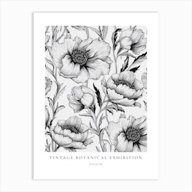 Anemone B&W Vintage Botanical Poster Art Print