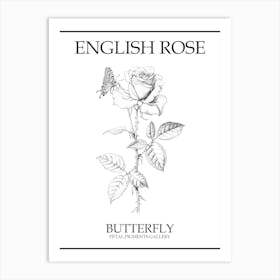 English Rose Butterfly Line Drawing 2 Poster Art Print