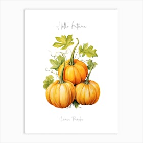 Hello Autumn Lumina Pumpkin Watercolour Illustration 4 Art Print