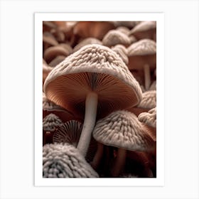 Mushroom Photography 1 Art Print