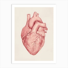 Pink Heart 1 Art Print