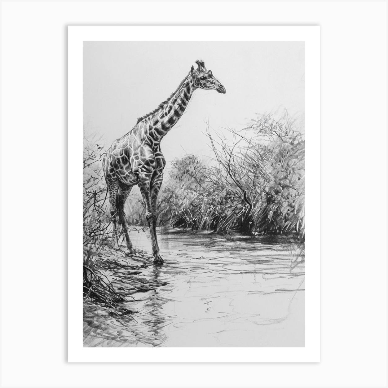 Giraffe Pencil Sketch Stock Photos and Pictures - 1,266 Images |  Shutterstock