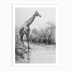 Giraffe In The River Pencil Drawing 1 Art Print