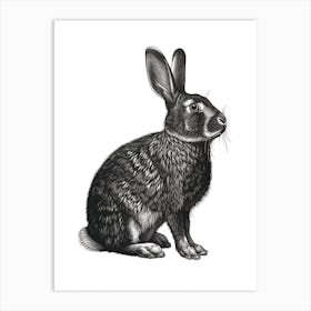 American Fuzzy Lop Black Blockprint Rabbit Illustration 2 Art Print