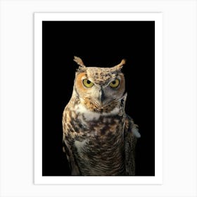 Great Horned Owl 2 Art Print