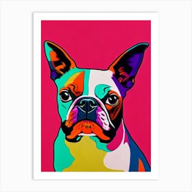 Boston Terrier Andy Warhol Style Dog Art Print