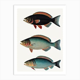 Grouper Vintage Poster Art Print