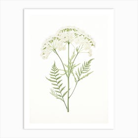 Yarrow Savory Vintage Botanical Herbs 2 Art Print