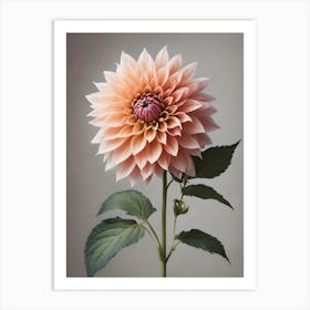 Dahlia 3 Art Print