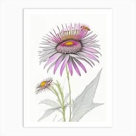 Echinacea Floral Quentin Blake Inspired Illustration 1 Flower Art Print